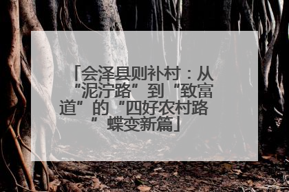 会泽县则补村：从“泥泞路”到“致富道”的“四好农村路”蝶变新篇